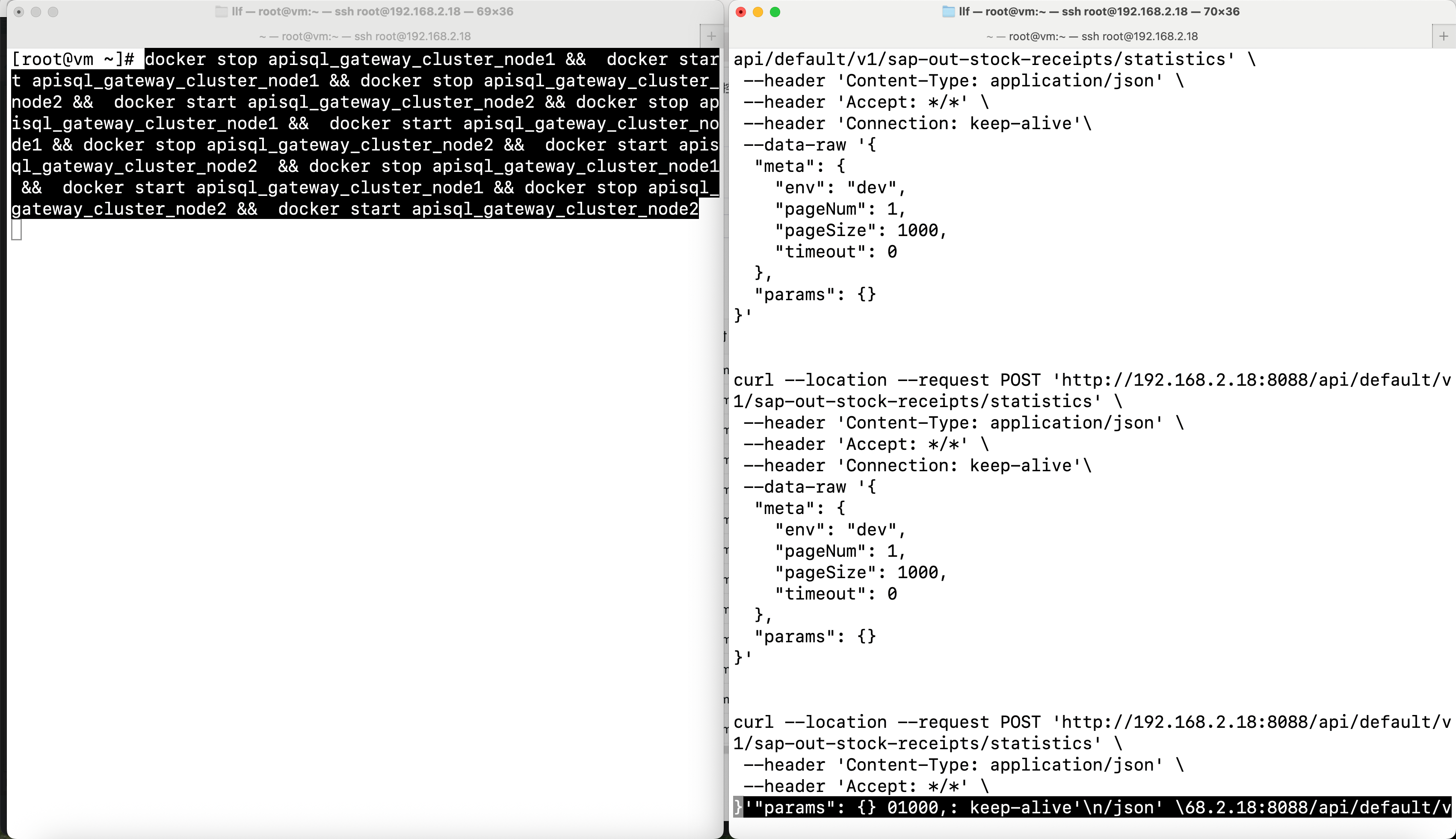 双节点持续崩溃测试